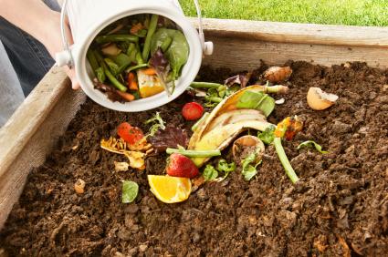 Pourquoi utiliser un bac à compost chez soi ?